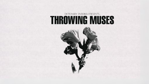 Throwing Muses: Moonlight Concessions